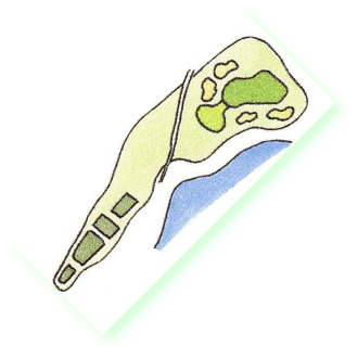 ２番ホール