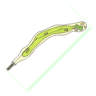 ８番ホール